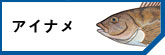 ʥ