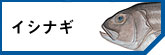 ʥ