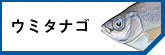 ߥʥ