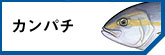 ѥ