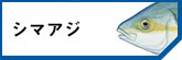 ޥ