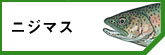 ˥ޥ