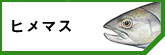 ҥޥ