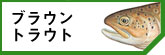 ֥饦ȥ饦